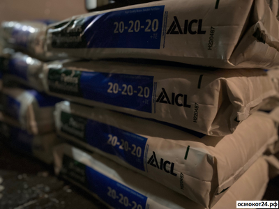 Петерс Профессионал Олраундер (20-20-20+TE) - Peters Professional Allrounder, Нидерланды (ICL)