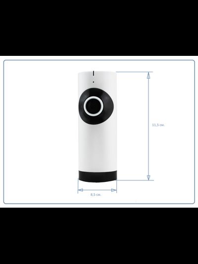 Видеоняня /WiFi видеокамера панорамная с DVR (fish_G), HD)