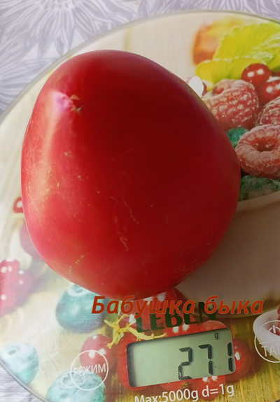 Томат Бабушка быка