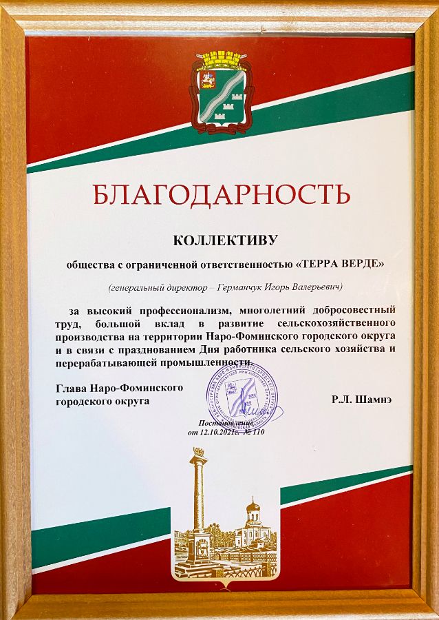 Производство и продажа салатов оптом в Москве