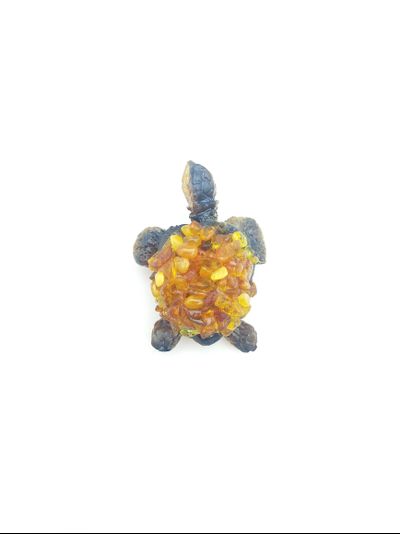 Сувенир - магнит "Черепаха"