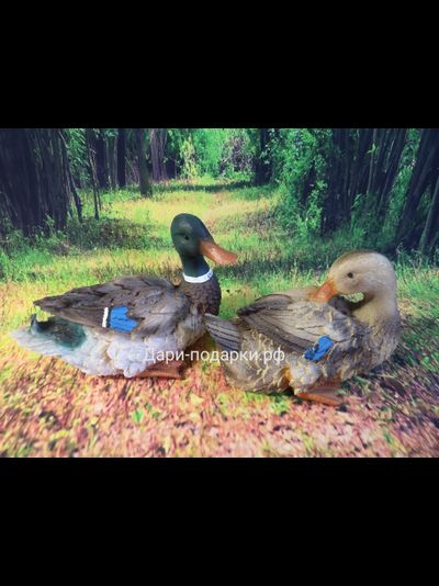 Утка - символ удачи!!!  13*20см   0,3кг   полистоун Россия 847//012684