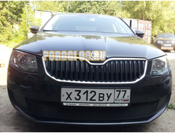 Защита радиатора Skoda Octavia А7 Active 2013-2017 black