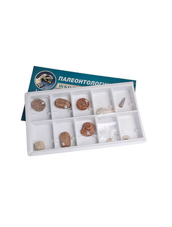 Коллекция "Палеонтологическая" (форма сохранности ископаемых растений и животных)