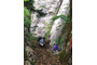 IMG-20240505-WA0016.jpg