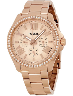 Наручные часы Fossil AM4483