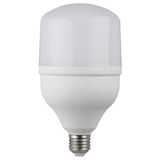 Лампа светодиодная ЭРА 30W E27 6500k хол.бел. LED POWER T100-30W-6500-E27