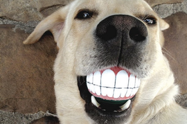 Стоматология