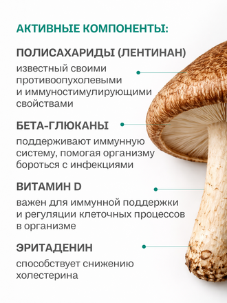 Экстракт шиитаке для внутреннего применения 100 гр.