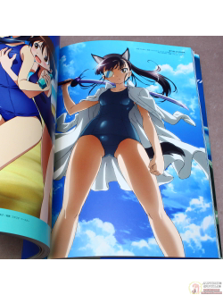 Оригинальный Арт Бук Strike Witches The Movie and OVA (Штурмовые ведьмы)