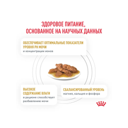 Royal Canin (Роял Канин) Urinary S/O Влажный корм (пауч) для кошек при мочекаменной болезни, в соусе 85 г