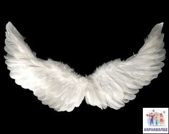 Крылья "Ангел" Белые  60*40 см (Столица)