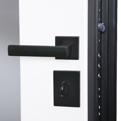 Стальная дверь   Сапсан с зеркалом (адаптивная замковая часть)