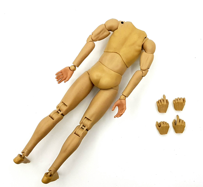 Тело без шеи 1/6 - (AL100034) - Alertline