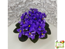 Н-Млечный Путь (Н. Бердникова)