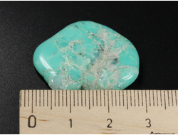 Хризопраз, полировка плоская, Австралия (28*21*3,5 мм, 4 г) №35679
