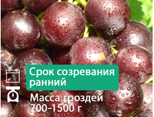 Черное облако