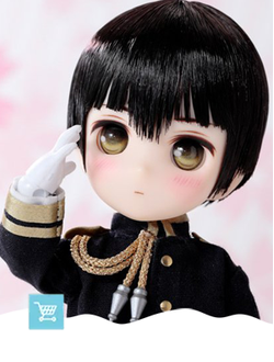 Куклы из серии DolPokke