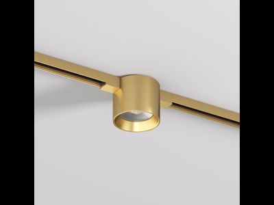 Светильник для трека SHINE SPOT DK5743-SB