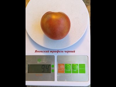 Томат Японский трюфель черный