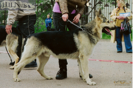 Чингиз  д.р 01.06.1997(Колодяжная)