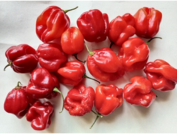 Перец острый Aji Rosita Rojo