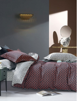 Постельное белье TANGO комплект сатин двуспальный 180x210x1 220x245x1 50x70x2 TS02-X256-50