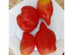 Томат Скифея (Скифская фея)