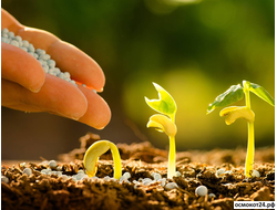 Комплексные минеральные удобрения с аминокислотами