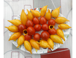 Томат Золотая канарейка