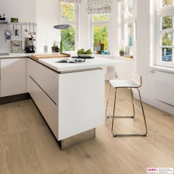 Декор ламината Haro Tritty 200 Aqua Дуб Сицилия Пуро 537370 в интерьере кухни