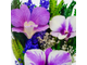 Композиция из натуральных орхидей, CuLO2 в подарочной упаковке / Цветы в стекле / Подарок к 8 марта