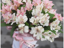 Коробка альстромерии "Ноты счастья"