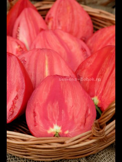 Томат Cuore Antico di Aqui Terme (Старинное сердце Акви Терме), 10 шт