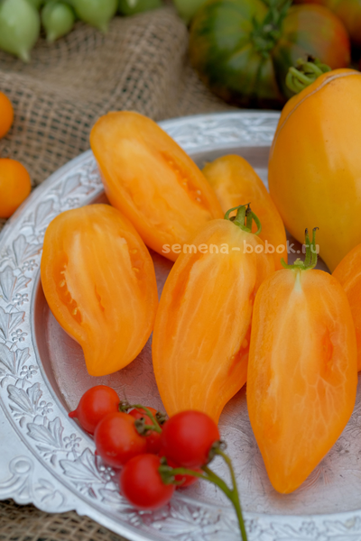 Томат Orange Walk (Оранжевая Прогулка), 10 шт