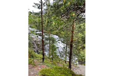 Рисйокский водопад в простонародье  "Красивый"