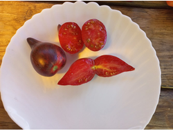 Томат Огненная комета Софии