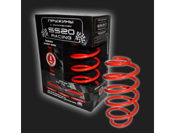 Пружина SS20 RACING передней подвески ВАЗ 1119,2170,2190 занижение -50мм SS30137 (2шт)