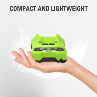 Зарядное устройство Greenworks G24C4 4А