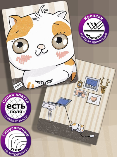 Тетради Милые коты Sweet cat's - 48 листов
