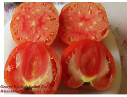 Томат Итальянский красный Джорджа Детсика (George Detsikas Italian Red)