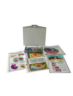 Транспаранты "Цитология"