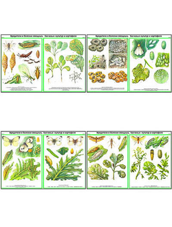 Плакаты ПРОФТЕХ "Вредит., болезни овощн., бахчев., картоф. культ." Часть 1 (22 пл, винил, 70х100)