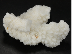 Коралл белый, коллекционный образец, Китай (50*41*22 мм, 23 г) №37697