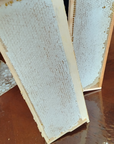 сотовый мед купить с пасеки