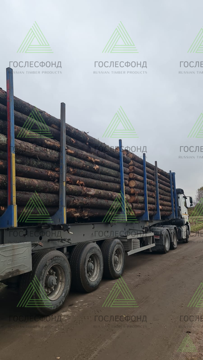 Бревна хвойные для распиловки и строгания ГОСТ 9463-88 (ель, сосна) тонкомер 12-24 см