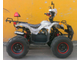 Квадроцикл Termit Libre 110cc