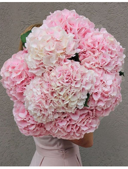 9 розовых гортензий