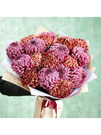 Букет из 17 хризантем бигуди