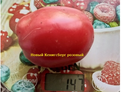 Томат Новый Кенигсберг розовый